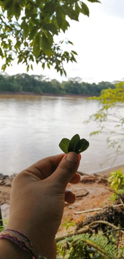 K'Erenda Homet Reserva Natural Puerto Maldonado Esterno foto