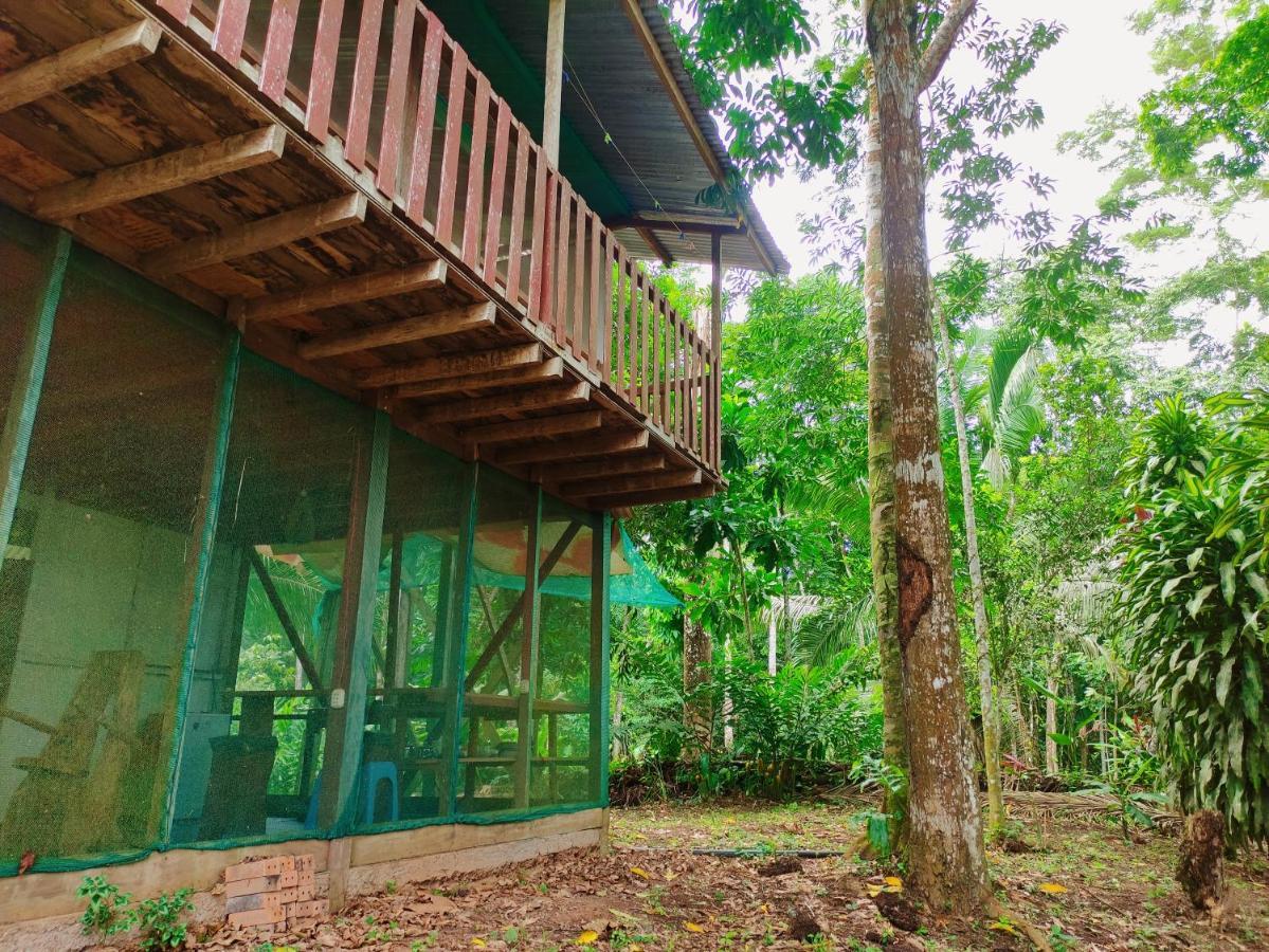 K'Erenda Homet Reserva Natural Puerto Maldonado Esterno foto