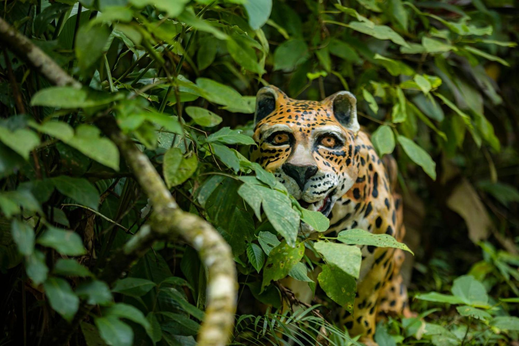 K'Erenda Homet Reserva Natural Puerto Maldonado Esterno foto