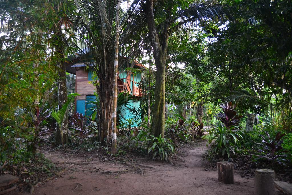 K'Erenda Homet Reserva Natural Puerto Maldonado Camera foto