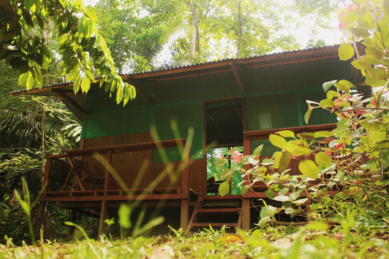 K'Erenda Homet Reserva Natural Puerto Maldonado Esterno foto