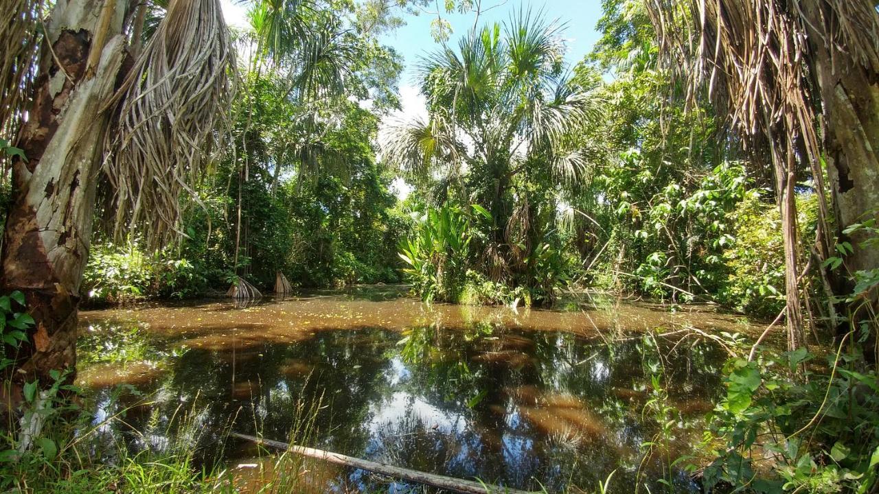 K'Erenda Homet Reserva Natural Puerto Maldonado Esterno foto